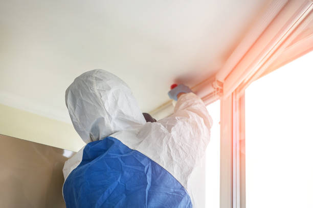 Reliable Gretna, LA Mold Removal Services Solutions